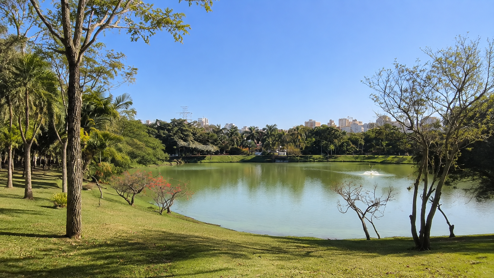Lago e área verde do Parque Central, em Santo André